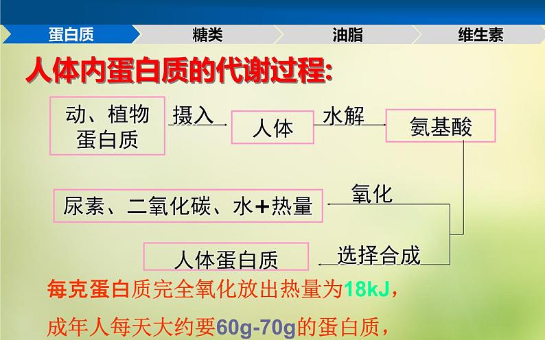 人教初中化学九下《12课题1人类重要的营养物质》PPT课件 (23)第6页