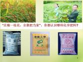 人教初中化学九下《11课题2化学肥料》PPT课件 (20)