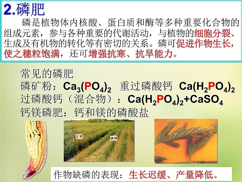 人教初中化学九下《11课题2化学肥料》PPT课件 (20)第5页