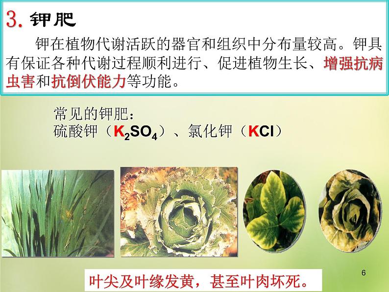 人教初中化学九下《11课题2化学肥料》PPT课件 (20)第6页