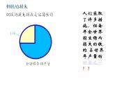 粤教初中化学九下《6.4 珍惜和保护金属资源》PPT课件 (3)