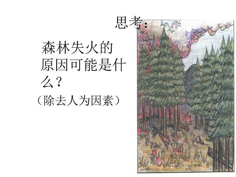 粤教初中化学九上《3.3 燃烧条件与灭火原理》PPT课件 (3)第8页