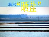 鲁教初中化学九下《8第2节 海水“晒盐“》PPT课件 (6)