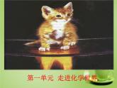 人教初中化学九上《1课题1物质的变化和性质》PPT课件 (12)