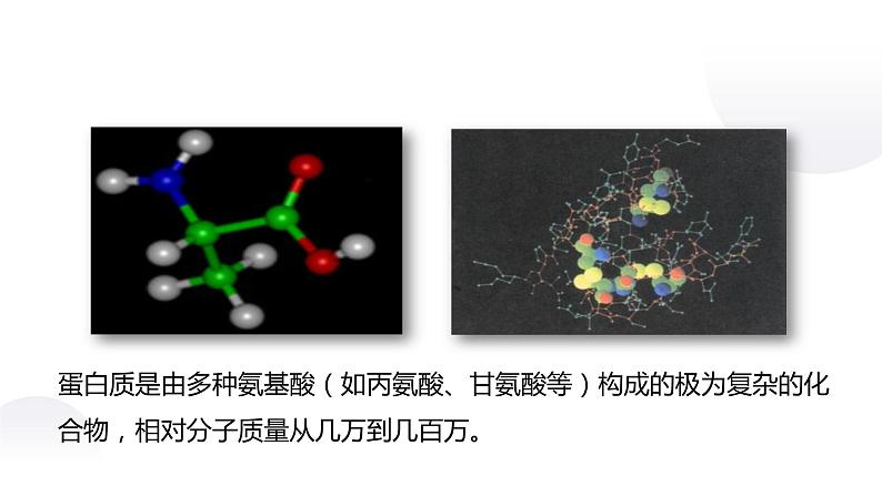 人教版九年级化学下册：第十二单元 课题1 人类重要的营养物质（2）课件PPT05