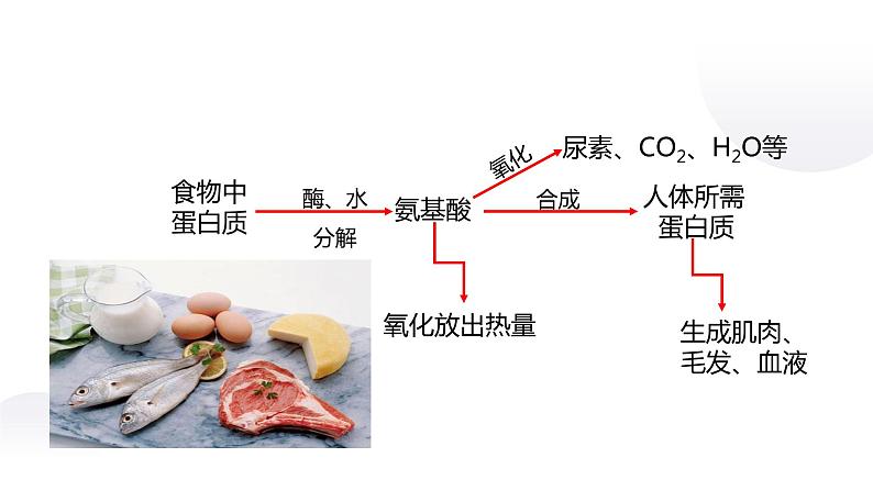 人教版九年级化学下册：第十二单元 课题1 人类重要的营养物质（2）课件PPT06