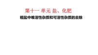 人教版九年级下册实验活动8 粗盐中难溶性杂质的去除一等奖ppt课件