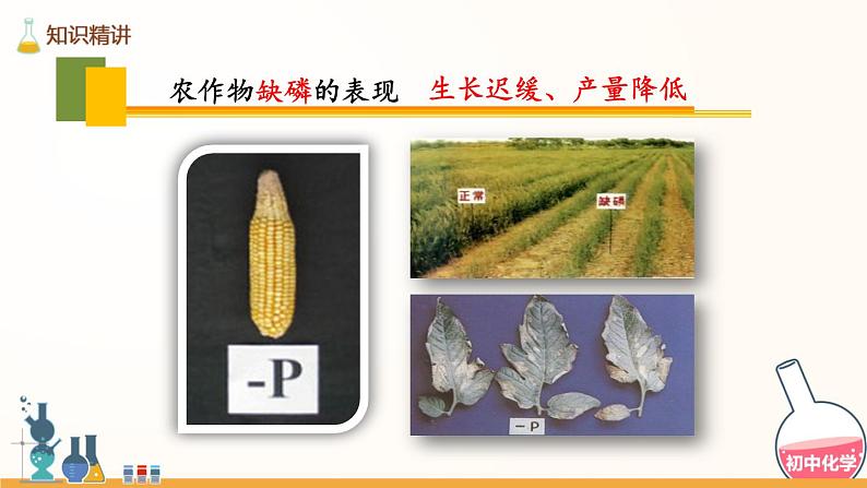 人教版九年级化学下册：第十一单元 课题2 化学肥料-课件08