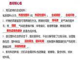 第九章 9.2化学合成材料 习题课件 2021-2022学年科粤版化学九年级