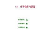 第九章 9.4化学物质与健康 习题课件 2021-2022学年科粤版化学九年级