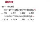 第七章 單元復(fù)習(xí)整合練 習(xí)題課件 2021-2022學(xué)年科粵版化學(xué)九年級(jí)
