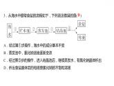 第七章 7.4結(jié) 晶 現(xiàn) 象 習(xí)題課件 2021-2022學(xué)年科粵版化學(xué)九年級(jí)