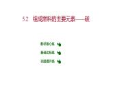 第五章 5.2組成燃料的主要元素——碳 習(xí)題課件 2021-2022學(xué)年科粵版化學(xué)九年級