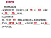 第五章 5.2組成燃料的主要元素——碳 習(xí)題課件 2021-2022學(xué)年科粵版化學(xué)九年級