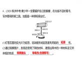 第六章 6.1金屬材料的物理特性 習題課件 2021-2022學年科粵版化學九年級