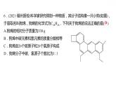 专项训练2 化 学 用 语 习题课件 2021-2022学年科粤版化学九年级