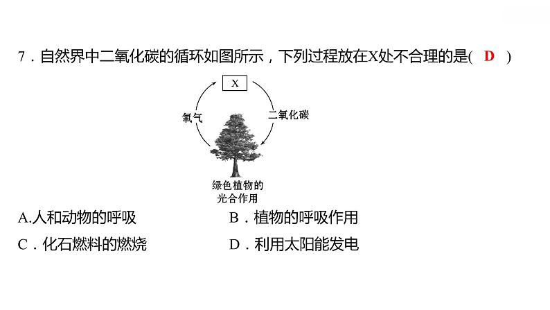 第五章 5.3.1二氧化碳的性质和制法（一） 习题课件 2021-2022学年科粤版化学九年级第8页