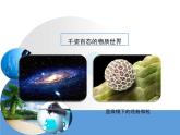 人教版九年级化学上册 1.2 化学是一门以实验为基础的科学（18）课件PPT