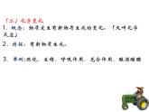 粤教初中化学九上《1.3 物质的变化》PPT课件 (4)