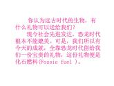 粤教初中化学九上《5.4 古生物的“遗产”—化石燃料》PPT课件 (4)