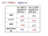 粤教初中化学九下《8.2 常见的酸和碱》PPT课件 (1)