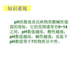 粤教初中化学九下《8.1 溶液的酸碱性》PPT课件 (3)