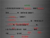 粤教初中化学九下《8.5 化学肥料》PPT课件 (10)