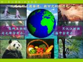 化学：4.3《水的组成》课件(人教版九年级)