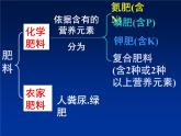 粤教初中化学九下《8.5 化学肥料》PPT课件 (7)