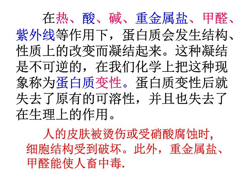 沪教初中化学九下《8第3节 蛋白质 维生素》PPT课件 (6)05
