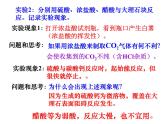 新人教版九年级上册化学实验活动2二氧化碳的实验室制取与性质课件(2)