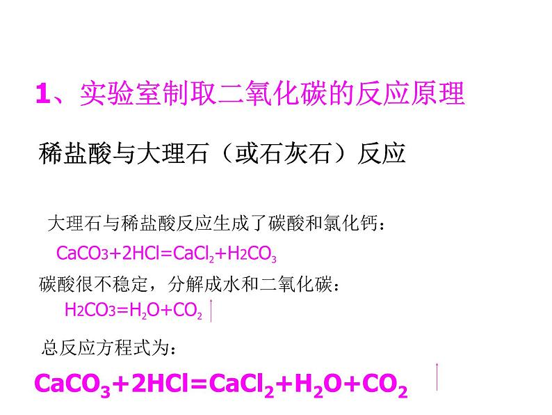 新人教版九年级上册化学实验活动2、二氧化碳制取与性质课件03