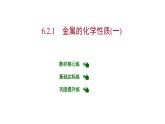 第六章 6.2.1金属的化学性质（一） 习题课件 2021-2022学年科粤版化学九年级