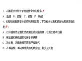 第八章 8.2.1常见的酸和碱（一） 习题课件 2021-2022学年科粤版化学九年级