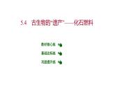 第五章 5.4古生物的“遗产”——化石燃料 习题课件 2021-2022学年科粤版化学九年级