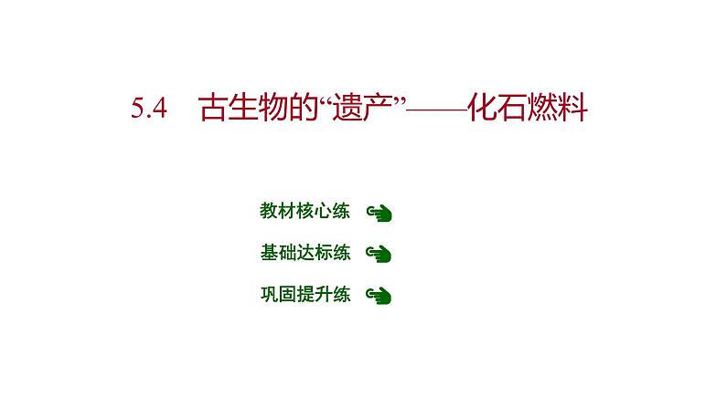 第五章 5.4古生物的“遗产”——化石燃料 习题课件 2021-2022学年科粤版化学九年级01