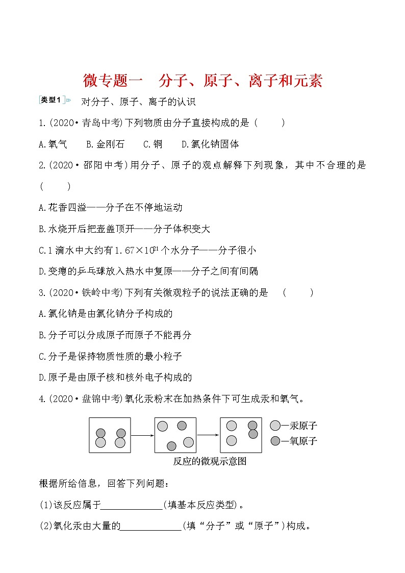 微专题一 分子、原子、离子和元素导学案 2021-2022人教版化学九年级上册01