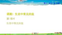 初中化学人教版九年级下册课题1 生活中常见的盐一等奖ppt课件