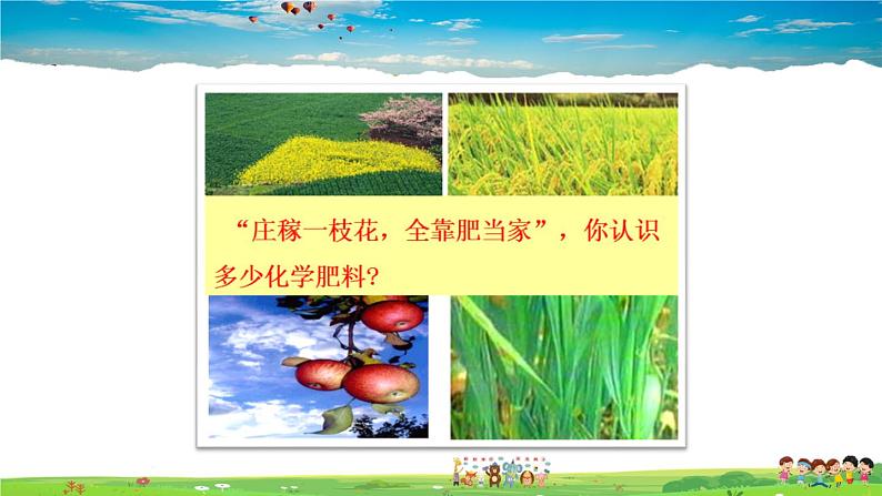 授课课件-11.2  化学肥料第3页