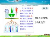 人教版化学九年级下册-11.2   化学肥料课件PPT