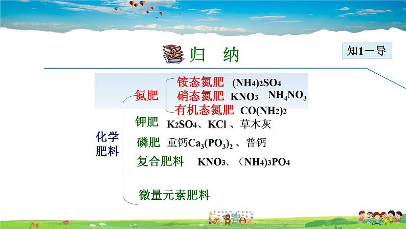 授课课件-11.2  化学肥料第6页