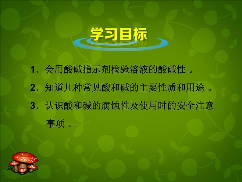 人教初中化学九下《10课题1常见的酸和碱》PPT课件 (3)第2页