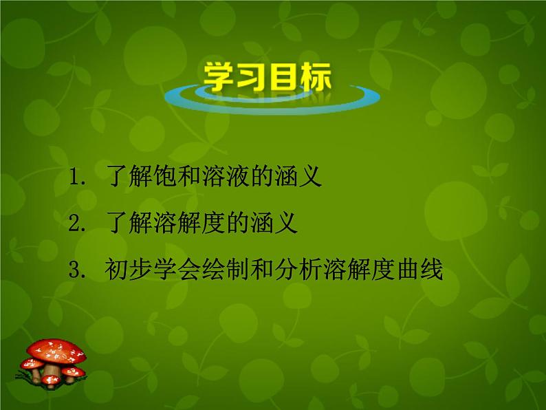 人教初中化学九下《9课题2溶解度》PPT课件 (8)第2页