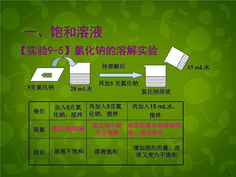 人教初中化学九下《9课题2溶解度》PPT课件 (8)第5页