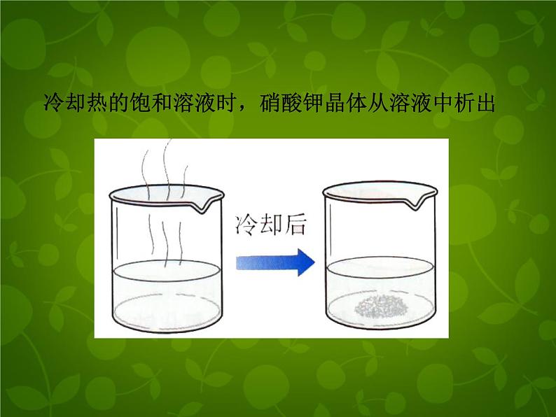 人教初中化学九下《9课题2溶解度》PPT课件 (8)第8页