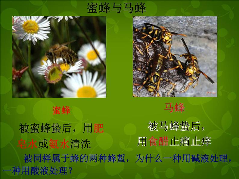 人教初中化学九下《10课题2酸和碱的中和反应》PPT课件 (19)04