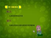 人教初中化学九下《11课题2化学肥料》PPT课件 (7)