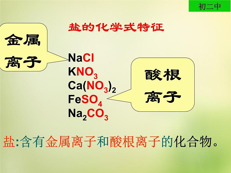 人教初中化学九下《11课题1生活中常见的盐》PPT课件 (26)第3页