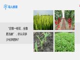 人教版 初中化学 九年级下册第十一单元  盐 化肥  课题2  化学肥料课件PPT