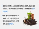 人教版 初中化学 九年级下册第十一单元  盐 化肥  课题2  化学肥料课件PPT